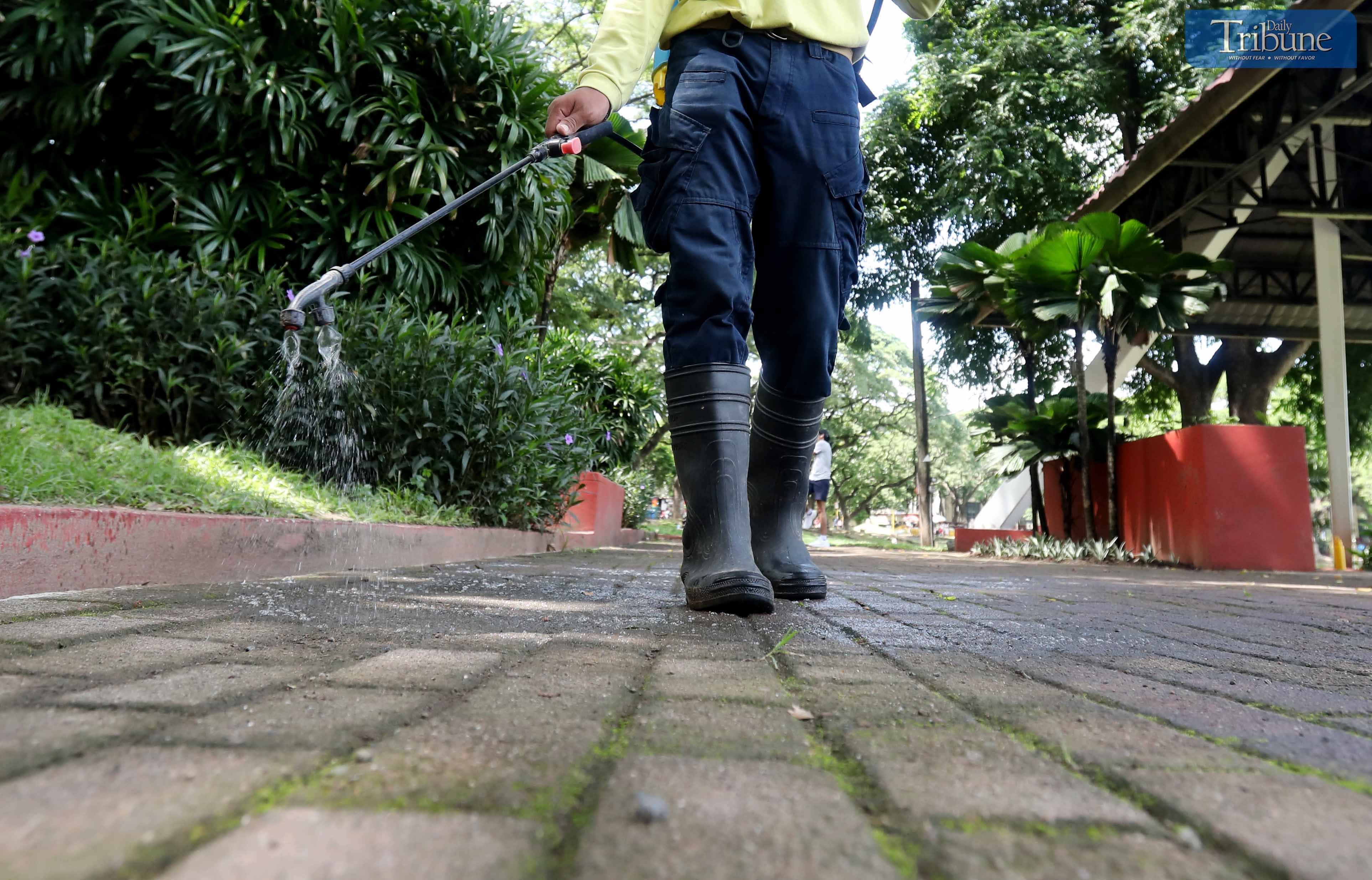 GETTING RID OF MOSS